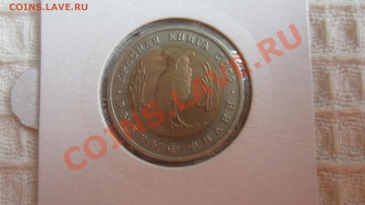 Красная книга Рыбный филин 1991 г. до 1.10.13 21.00 мск - IMG_4955