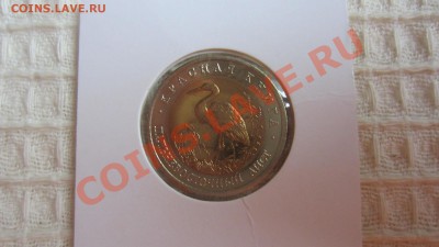 КК. Дальневосточный аист 1993. до 1.10.13 в 21.45 мск - IMG_4961