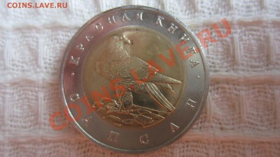 КК. Сапсан 1994 г. до 1.10.13 г. в 22.00 мск - IMG_4963