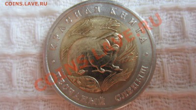 КК. Песчаный слепыш 1994 г. до 1.10.13 г. в 22.15 мск - IMG_4966
