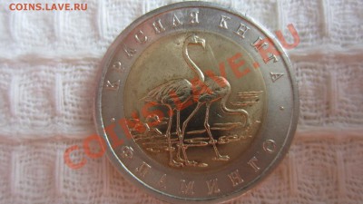 КК. Фламинго. 1994 г.до 1.10.13 в 22.30 мск - IMG_4968