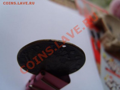 Что это такое? - S1031785.JPG