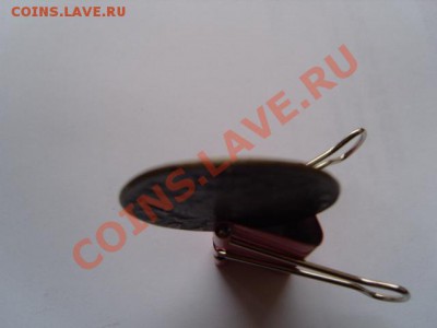 Что это такое? - S1031784.JPG