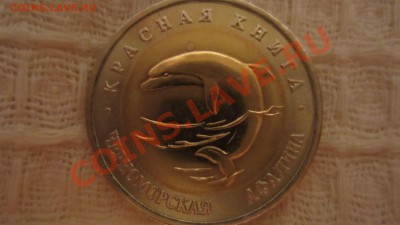 КК. Черноморская афалина 1993 г. до 1.10.13 в 21.00 мск - IMG_4973