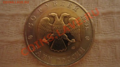 КК. Черноморская афалина 1993 г. до 1.10.13 в 21.00 мск - IMG_4974