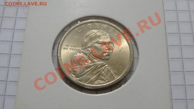 Доллар Сакагавея (Растениеводство) до 01.10. в 22:30 - DSC07650.JPG