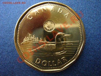 Канада: 1 доллар 2013 UNC из ролла до 30.09 22 - Канада доллар 2013-2.JPG