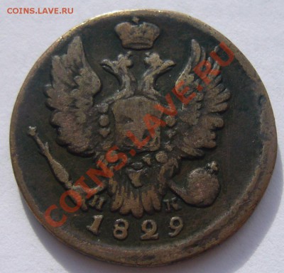 Медь (коричневая, желтая) - P1090840.JPG
