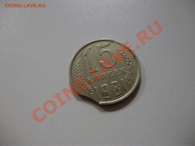 Неплохой выкус - P9180121.JPG