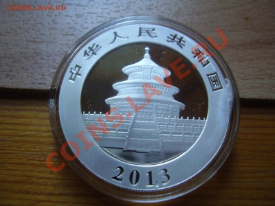Панда 2013 - PB150227.JPG