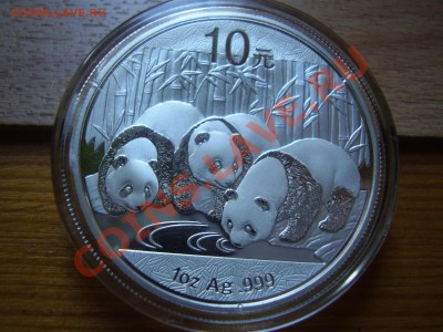 Панда 2013 - PB150226.JPG