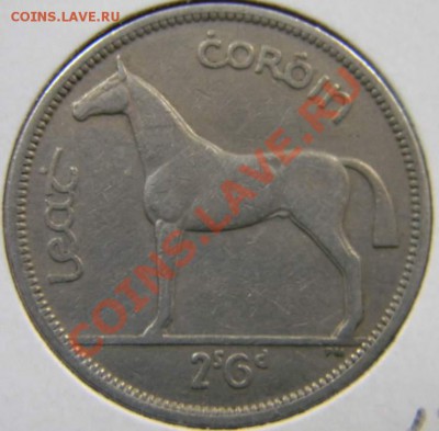 пол кроны иралндия 1955 - DSCN5792_thumb