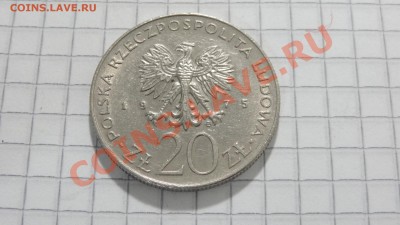 Польша 20 злотых 1975 Международный год жен до 30.09 в 22:00 - DSC07673.JPG