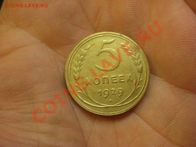 5 копеек 1929 ----------------- до 03.10.13, в 22.00 Мск. - IMG_6532.JPG