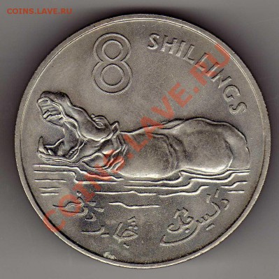 ГАМБИЯ 8 ШИЛЛИНГОВ 1970 БЕГЕМОТ 03.10.13 В 22.00МСК (6363) - img237