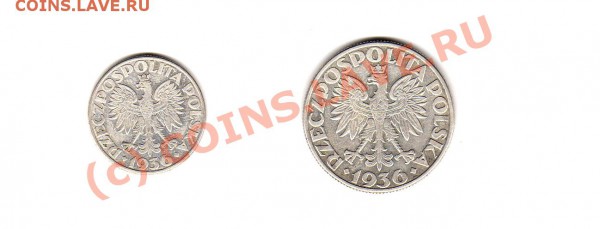 монеты 1-й Польской Республики 1923-1939 г.г. - img873