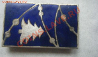 новогодний значок - DSCF7273.JPG