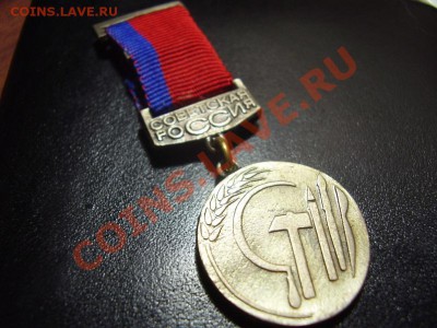 Художественная выставка. Лауреат - PB120183.JPG