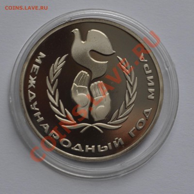 Год мира + Год мира ШАЛАШ до 06.10.13 - DSC_037