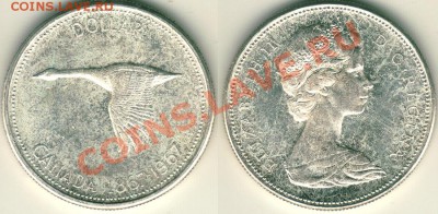 Ag, Канада, доллар 1967 (Гусь) - до 22-00мск 01.10 - can-1d-1967