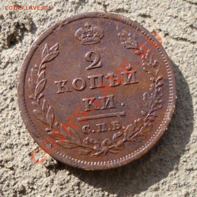 2 копейки 1810 пчелка "сорочий хвост" не частая - P1010228.JPG