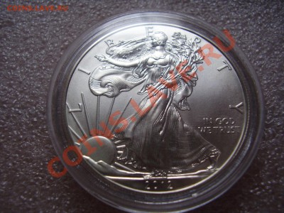 Шагающая свобода 2012 - PB280027.JPG