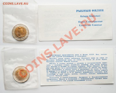 Красная Книга "Филин" АЦ в запайке__________04.10 (пт) 22:10 - филин