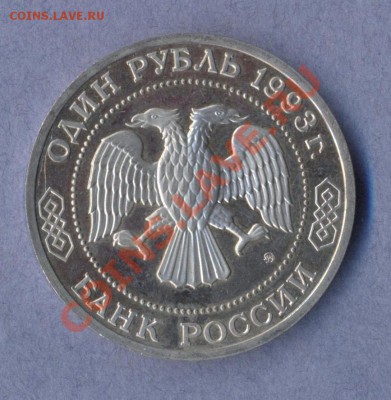 2 - Бородин.0002