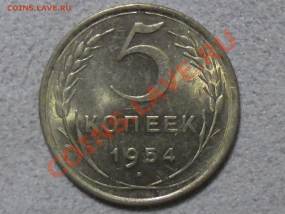 ШТЕМПЕЛЬНЫЙ БЛЕСК 5 копеек 1954 XF? до 6 октября - SAM_1698.JPG