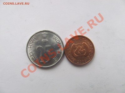 00 - носорог2.JPG