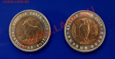 КК 1991 г. Филин + Козел винторогий до 22-00 08.10.13 - DSC04000 (1225 x 624)