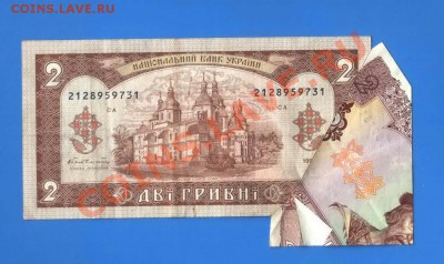 Показываем интересные браки бон - 1486015225
