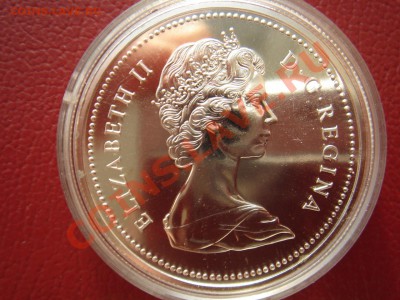 Канада: Ag-500 1$ 1975 UNC Калгари в капсуле до 08.10 22 - Канада доллар Калгари-2.JPG