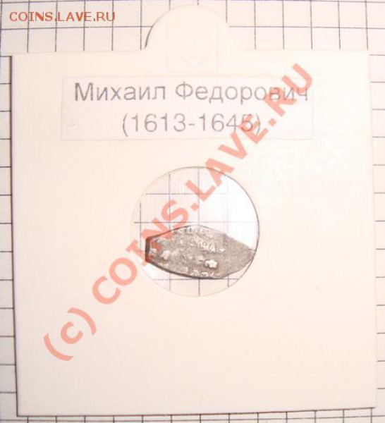 продажу. - Чешуя (3).JPG