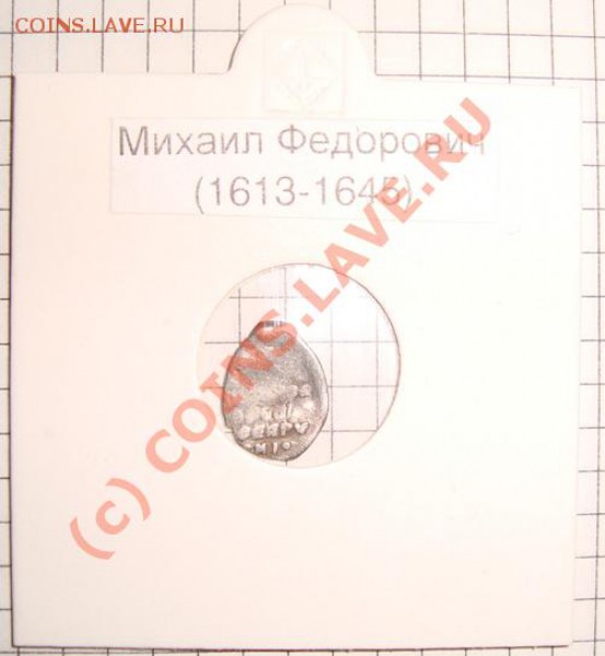 продажу. - Чешуя (2).JPG