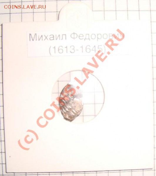 продажу. - Чешуя (1).JPG