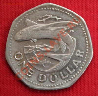 БАРБАДОС 1 DOLLAR 1973г.ЛЕТАЮЩАЯ РЫБА до 9.10.13г. - IMG_8051.JPG