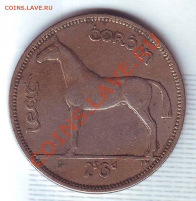 2 кроны.1955.Лошадь. до 9 Октября - 19550015.JPG
