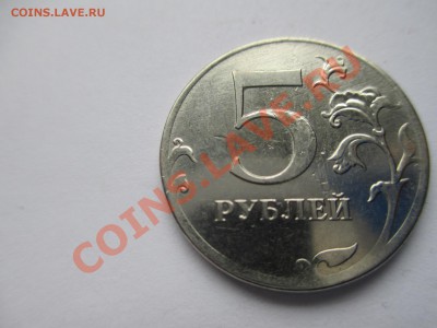 10р.1993г. Что с гуртом? - IMG_1710.JPG