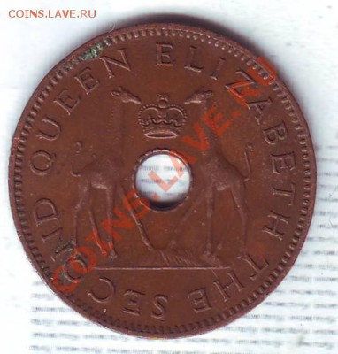 2 Пенни.1956.Жирафы. до 10 Октября - 19560010.JPG