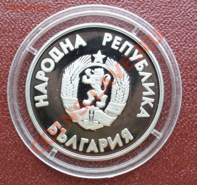 1 лев, XV Зимняя Олимпиада, до 09.10.13г. 22-00 мск. - P1080462.JPG