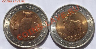 Красная книга 1991 до 08 октября 23-00 мск - DSCF5007
