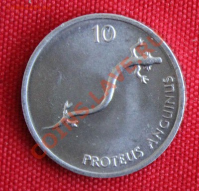 С 1руб. СЛОВЕНИЯ 10 стотинов  1992г.САЛАМАНДРА  до 12.10.13г - IMG_8260.JPG