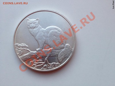 3 РУБЛЯ 1995 СОБОЛЬ до 10,10,13 - 22-00 - IMG_2500.JPG
