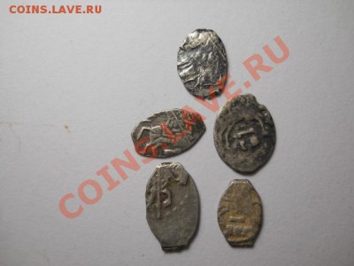 чешуя 5 штук до 7.10.13  22.00 моск - DSCN0713 (640x480)