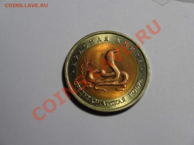 10р КК Кобра 1992г до 10.10.13 23:00 МСК - DSC01649.JPG
