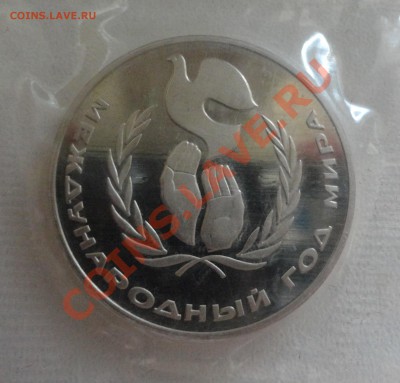 Год Мира Новодел в запайке - DSC00657.JPG