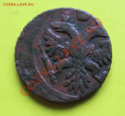 Полушка 1741 - Пол1
