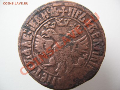 денга 1707 год Оценка - IMG_0051.JPG