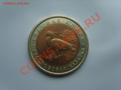 10р. Красная Книга.Казарка.1992г.до 10.10.2013.до 22.00. - S8305230.JPG
